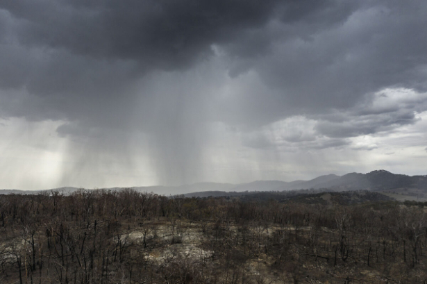 An aerial view as rain begins to fall on drought and fire-ravaged country near Tamworth ahead of predicted further wet weather across NSW and Victoria this week in Tamworth, Australia, on Jan. 15, 2020 (Brook Mitchell/Getty Images)
