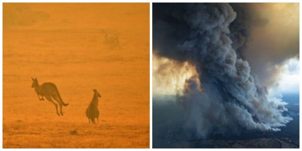 A kangaroo jumps in a field amidst smoke from a bushfire in Snowy Valley on the outskirts of Cooma on Jan. 4, 2020. And massive smoke rises from wildfires burning in East Gippsland, Victoria. (Saeed Khan/AFP via Getty Images; Dale Appleton/DELWP via AP)