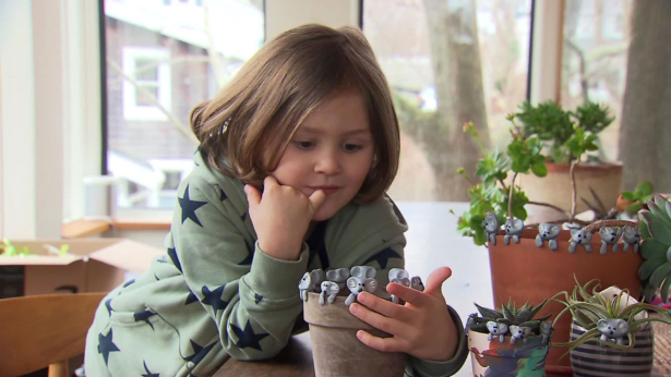 Six-year-old Owen Colley has made about 55 clay koalas so far.(WBZ)