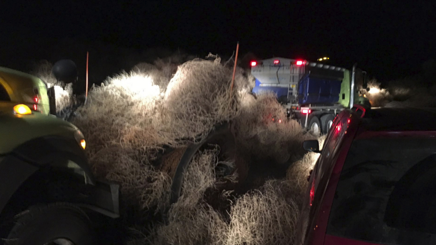 Cars Get Trapped in Tumbleweeds on Washington State Highway