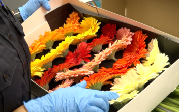Valentine’s Day Flowers Keep CBP Busy