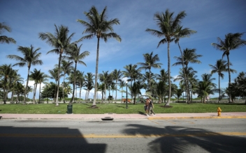 Shootout Interrupts Miami Beach Lockdown Operation