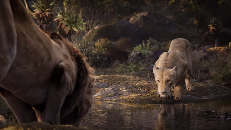 Disney Apologizes to School That Was Charged $250 for Showing ‘The Lion King’