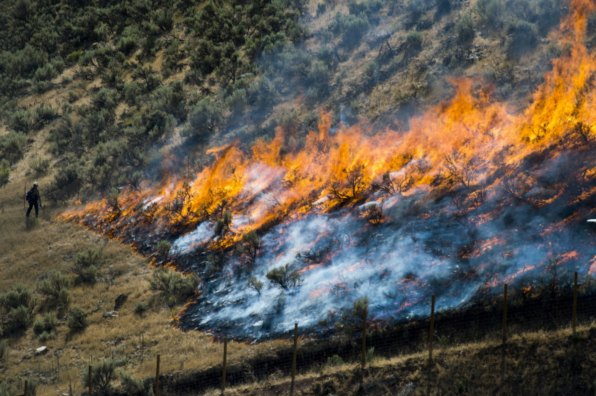 File photo of July 30, 2018 shows firefighters control the Tollgate Canyon fire as it burns near Wanship, Utah. (Rick Egan/The Salt Lake Tribune via AP)