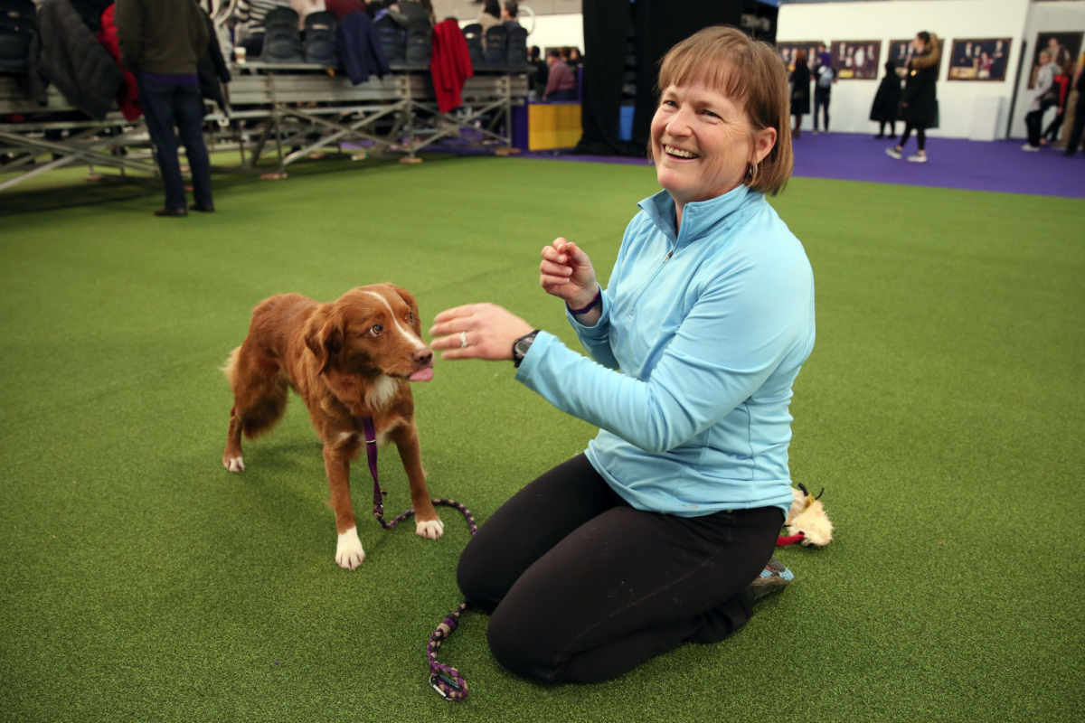 Liberty, a Nova Scotia duck tolling retriever, and owner Marcia Lyons of Seattle get ready to compete at the Westminster Kennel Club's agility championship, in New York, on Feb. 8, 2020. (Jennifer Peltz/AP Photo)