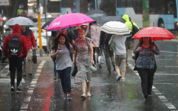 Heavy Rain Drowns out NSW Fires, Official Says City Roads May Flood
