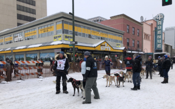 Norwegian Musher Achieves Boyhood Dream, Wins Iditarod Race