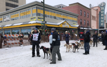 Too Much Snow Will Make the Iditarod Exceptionally Difficult This Year