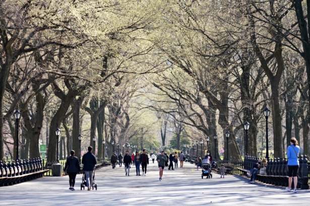 People exercise in Central Park as the CCP virus continues to spread across the United States, in New York City on March 26, 2020. (Cindy Ord/Getty Images)