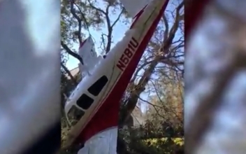 Small Plane Crashes Into Backyard, Pilot and Passengers ‘Somehow Survived Without a Scratch,’ Police Said