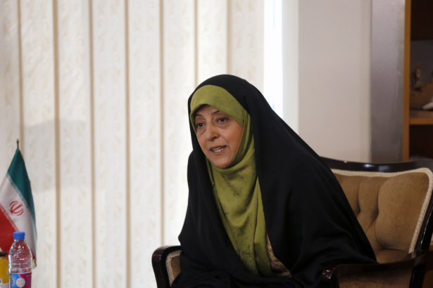 Iran's Vice President and Head of Environmental Protection Organization, Masoumeh Ebtekar, meets with French Ecology Minister in Tehran on Aug. 28, 2016. (Atta Kenare/AFP via Getty Images)