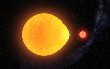 Unusual Tear-Drop Shaped, Half-Pulsating Star Discovered by Amateur Astronomers