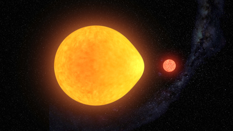 Unusual Tear-Drop Shaped, Half-Pulsating Star Discovered by Amateur Astronomers
