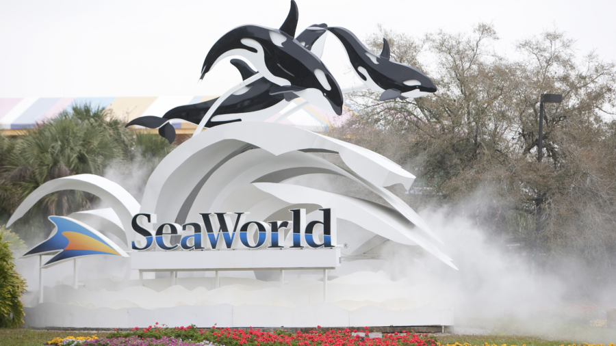SeaWorld Puts 90 Percent of Its Workforce on Unpaid Leave