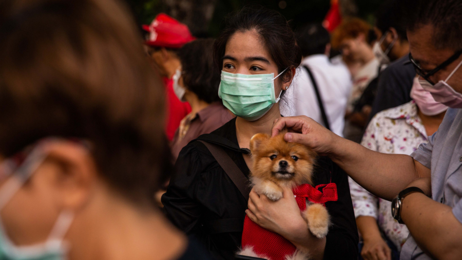 Second Dog Tests Positive for CCP Virus