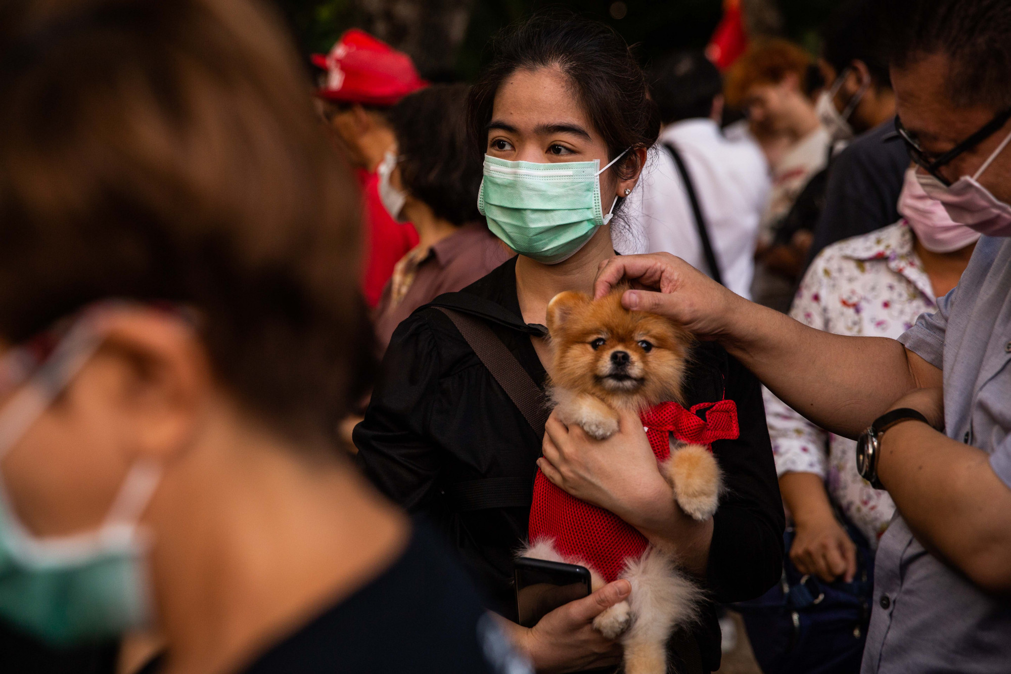 Thai woman facemask coronavirus dog