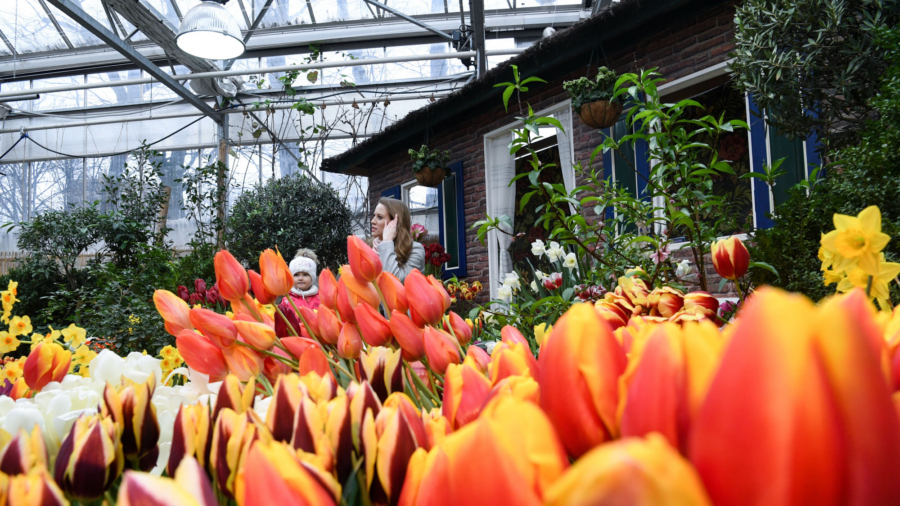 Spring Equinox 2020: Earliest Arrival in More Than a Century | NTD