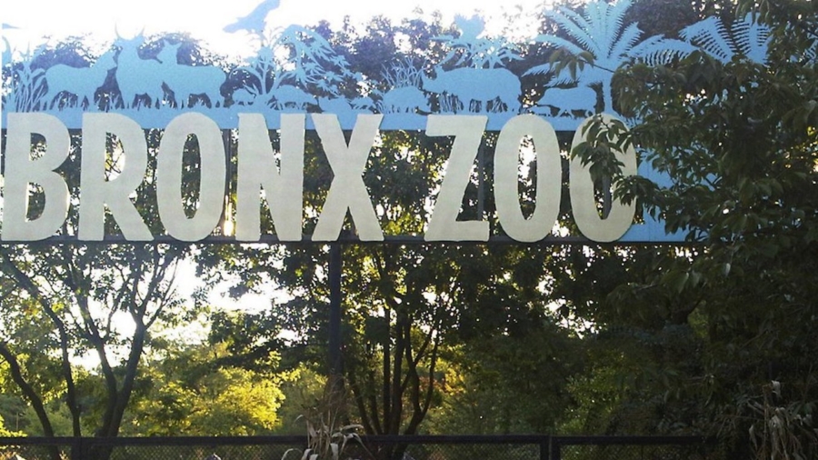 Holiday Lights Return at New York's Bronx Zoo