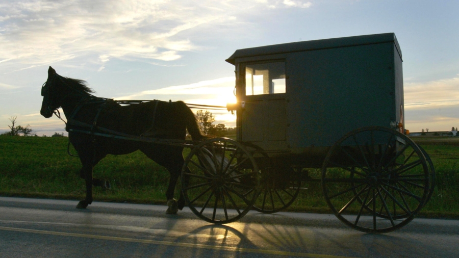 Amish, Mennonite Communities in Pennsylvania May Have Reached Herd Immunity: Medical Center