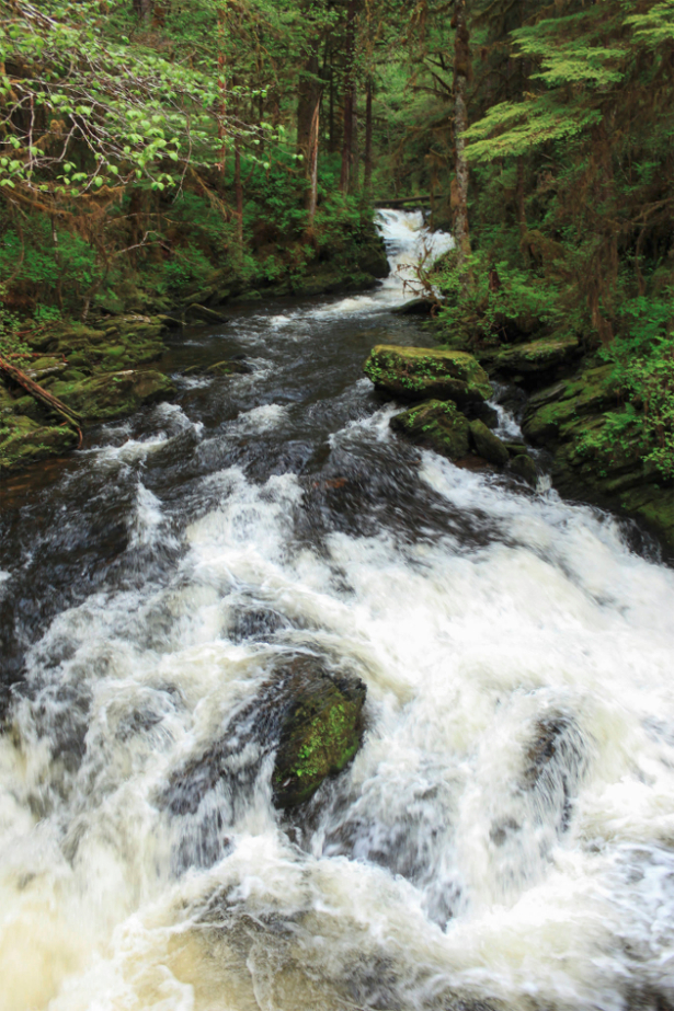 Stream near Lunch Creek Trail, Alaska, where Jennifer Treat and her son Jaxson Brown were lost on Wednesday, March 25. (Alaska.org)