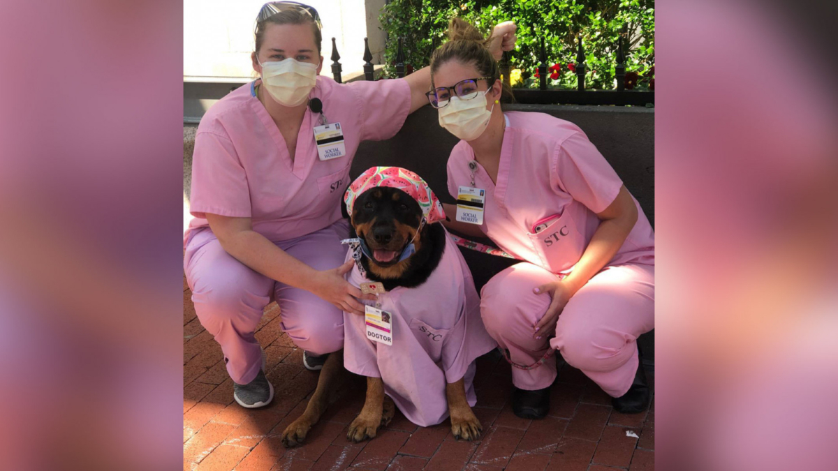Loki in her pink scrubs at the University of Maryland Medical Center. (Courtesy of Caroline Benzel)