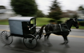 Missing Child From Kentucky Horse-Drawn Buggy Accident That Killed 4 Found Dead