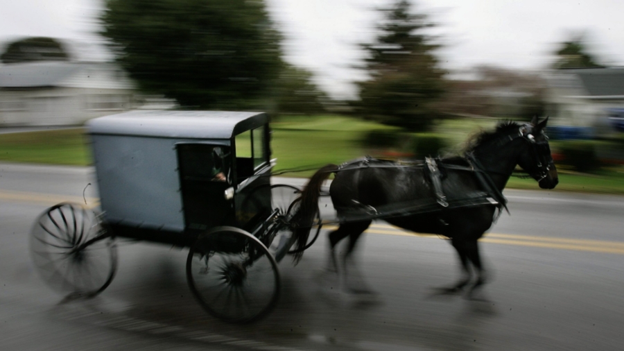 Missing Child From Kentucky Horse-Drawn Buggy Accident That Killed 4 Found Dead