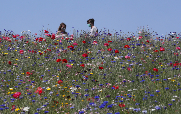A couple wear masks as they enjoy the sun in park full of flowers, in Milan, Italy, on May 4, 2020. (Antonio Calanni/AP Photo)