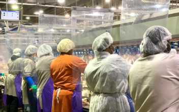 Hundreds Test Positive for CCP Virus at Tyson Foods Plant in Arkansas