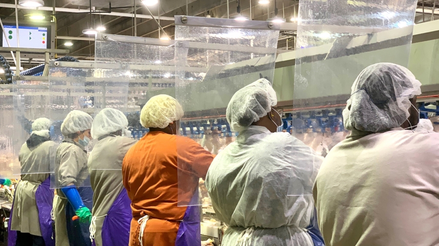 Hundreds Test Positive for CCP Virus at Tyson Foods Plant in Arkansas
