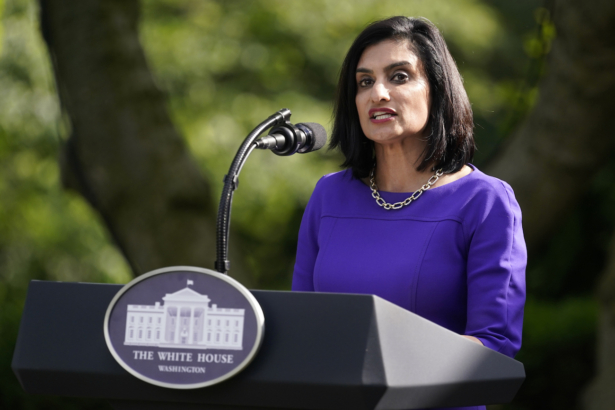 Administrator of the Centers for Medicare and Medicaid Services Seema Verma speaks at an event on protecting seniors with diabetes in the Rose Garden White House, in Washington, on May 26, 2020. (AP Photo/Evan Vucci)