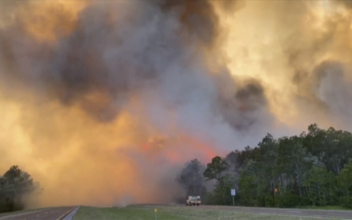 Florida to Hold Multi-Agency Aviation Drill to Prepare for Wildfire Season