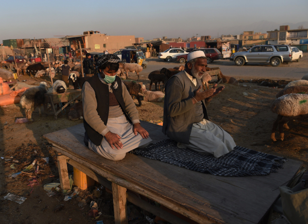 Afghan traders pray at a livestock market in a file photo taken on Nov. 23, 2014, in Kabul, Afghanistan. (Shah Marai/AFP via Getty Images)