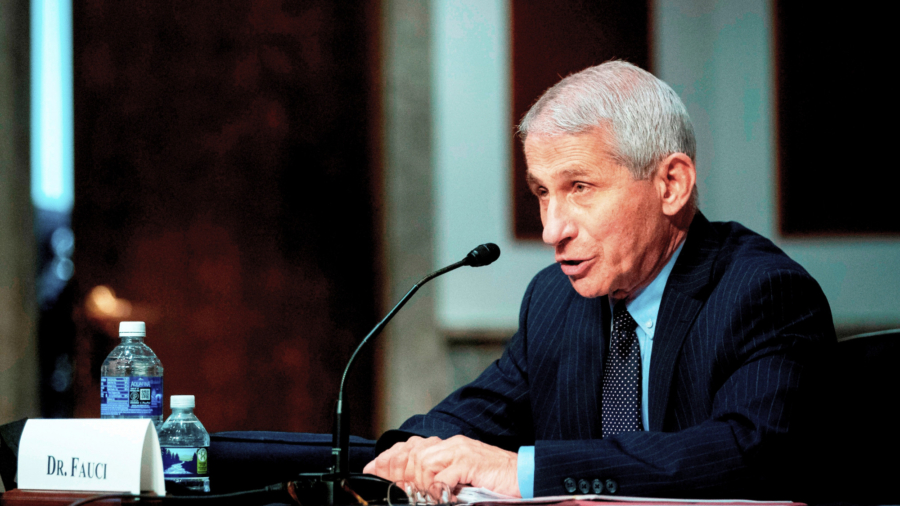 Swine Flu From China Could Cause Another Pandemic, Fauci Says