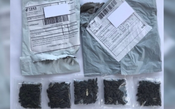 US Residents Receive Mysterious Seed Packages From China