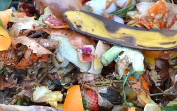 Vermont Bans Food Scraps From Trash, Authorizes Composting