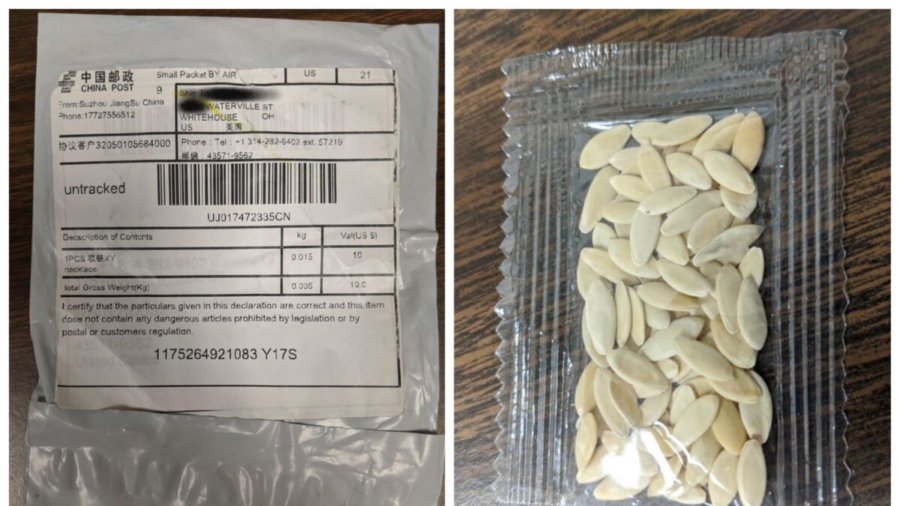 All 50 US States Warn About Unsolicited Seed Packages That Appear to Be From China
