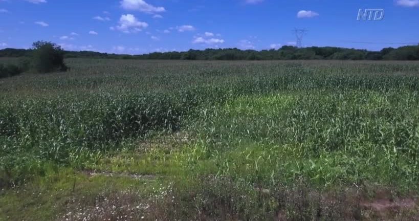 Wind Power Meets Opposition in Rural New York