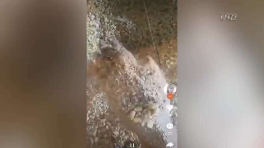 Moldy Corn Found: Chinese Grain Stockpiler