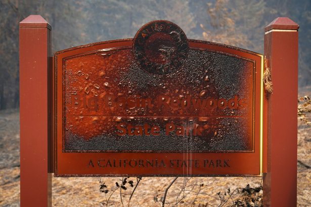 A wildfire-damaged sign welcomes visitors in Big Basin Redwoods State Park, Calif., on Aug. 24, 2020 (Marcio Jose Sanchez via AP Photo)