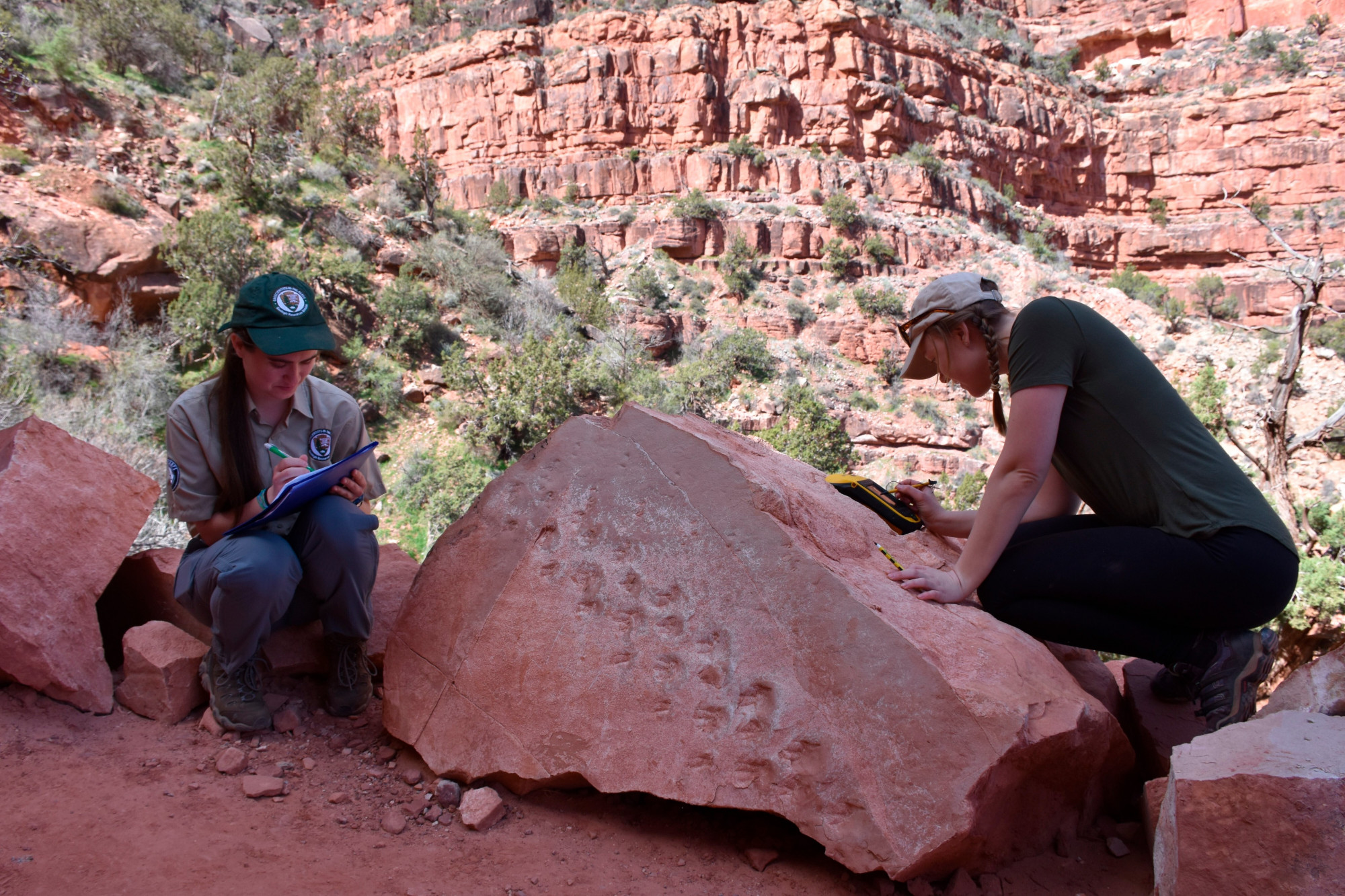Rock Fall at Grand Canyon Reveals Possible Ancient Animal Footprints