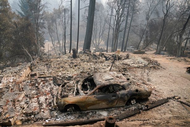 A fire-ravaged neighborhood is seen in Boulder Creek