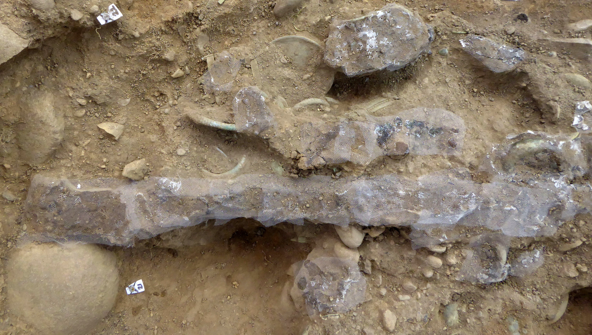 Treasure-Hunter Finds 3,000-Year-Old Hoard in Scotland