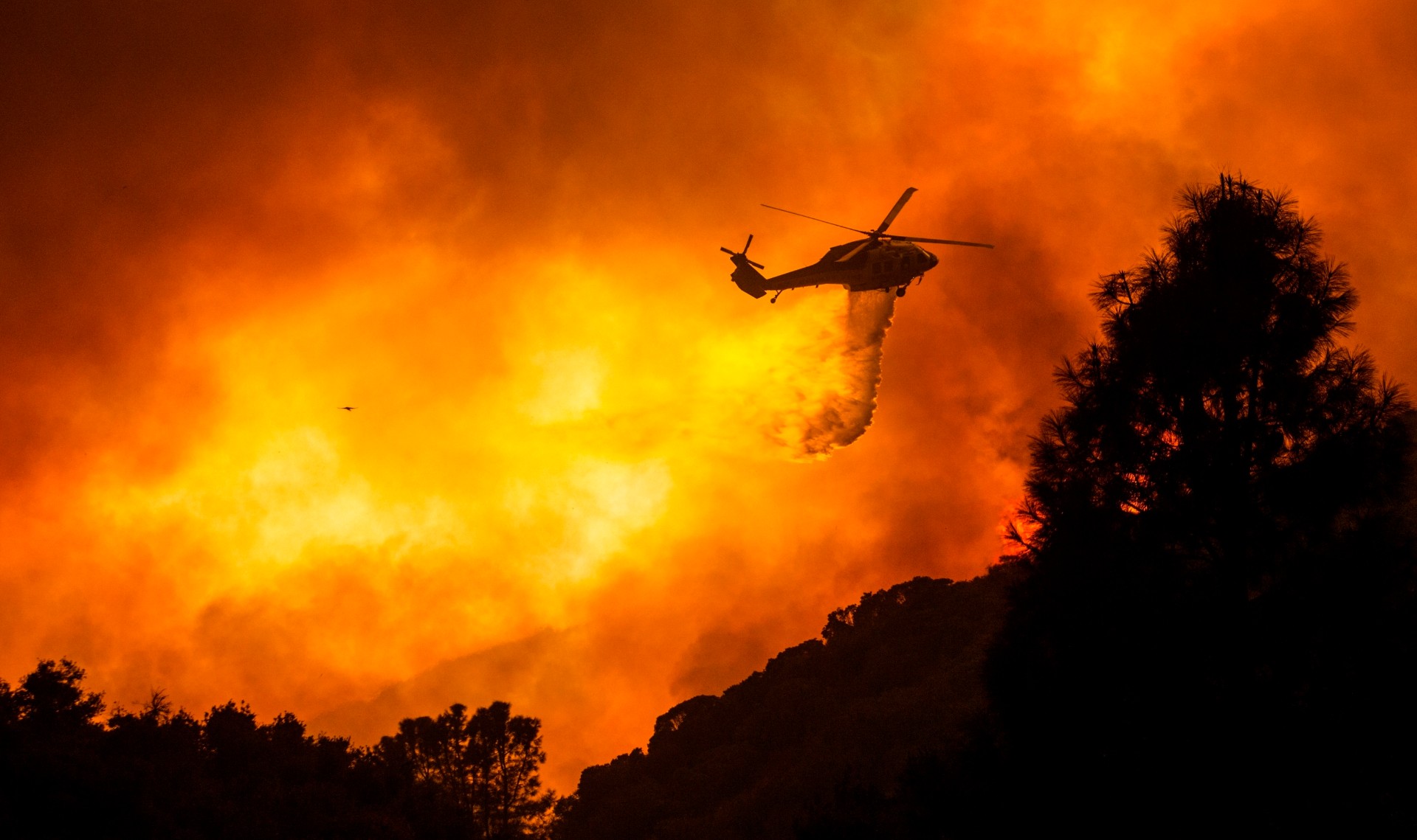 Trump Declares California Wildfires a Major Disaster