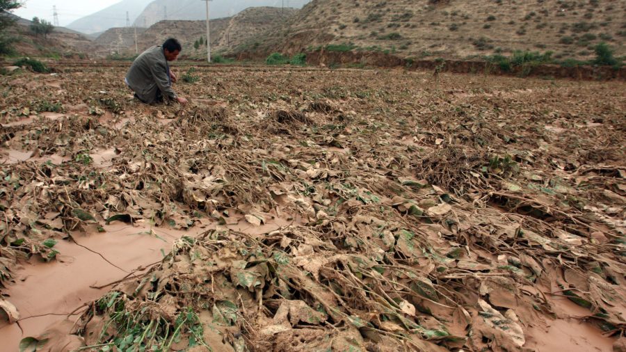 China Faces Food Shortage as Droughts, Flooding, and Pests Ruin Harvest