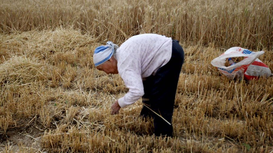 Migrant Workers in China Work Unpaid