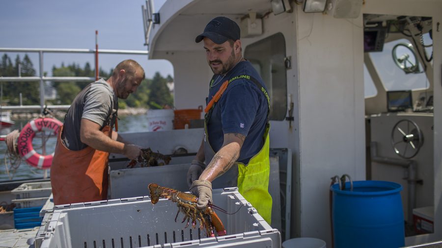 European Union Lifts Tariffs on American Exports of Lobster