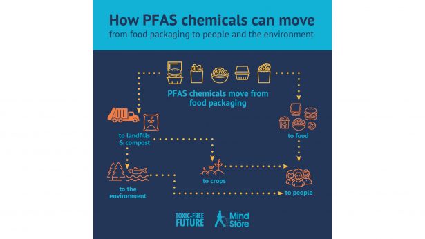 PFAS food packaging results. (Courtesy of Mind the Store campaign/Toxic-Free Future)