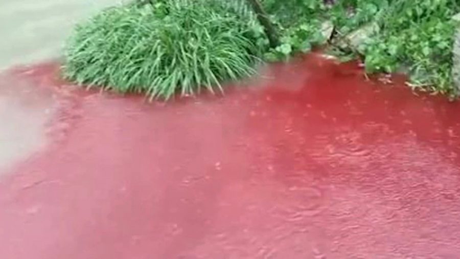 China In Focus (Aug. 17): Chinese River Tainted, Turned Blood Red