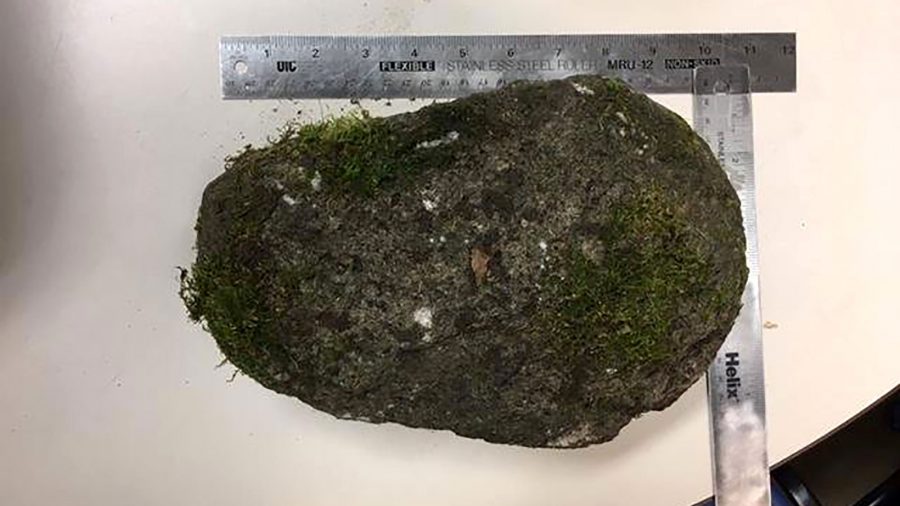 Portland Officers Injured After Protester Throws 10-pound Rock, Police Say